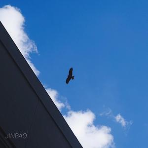 掀起衣服含着奶头揉捏视频
