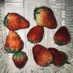 掀起衣服含着奶头揉捏视频
