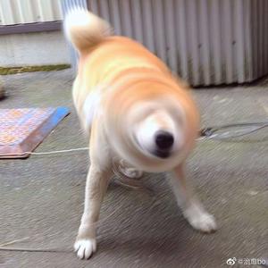 掀起衣服含着奶头揉捏视频
